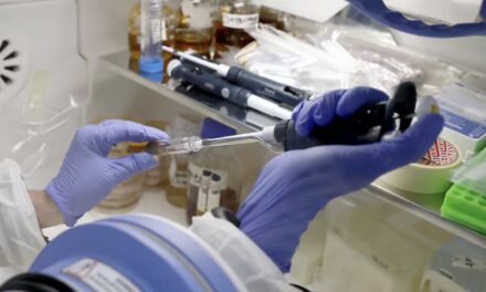 Kinë, frikë nga virusi i ri i majmunit: “Simptoma të frikshme”